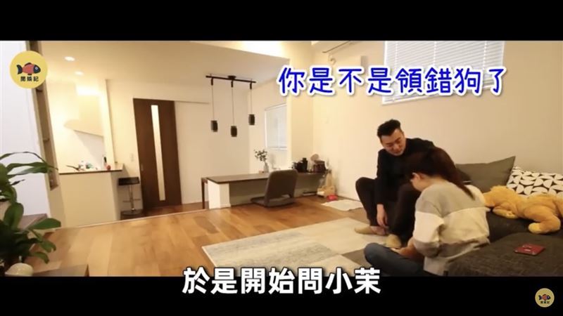 老高在家中逗力氣卻覺得不對勁，問小茉「妳是不是領錯狗了？」讓她當場笑翻。（圖／翻攝自老高與小茉YouTube）