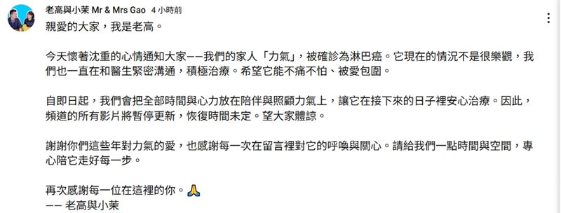 老高的11歲愛犬力氣確診淋巴癌，為了全心陪伴牠對抗病魔，夫妻倆決定即日起無限期停更頻道。（圖／翻攝自老高與小茉YouTube）