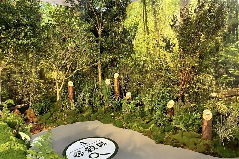 十六茶把療癒之森搬進華山文創園區，走入會場便能看到一片都市裡少見的綠意森林，16種天然食榖巧妙隱身其中，等待搜茶員們的到來。（圖／品牌業者提供）