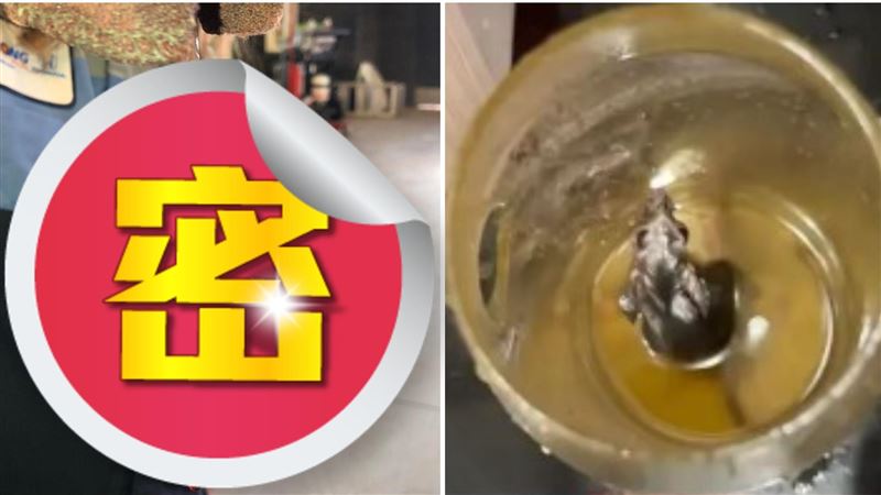 老鼠跌入油桶竟泡成玻璃?全身透亮悚見骨