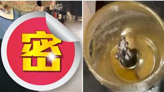 老鼠跌入油桶竟泡成玻璃？全身透亮悚見骨