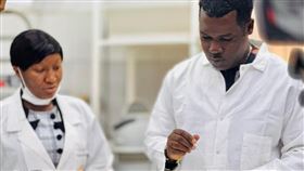 科學家成功引進變異基因讓雌蚊子無法生育。（圖／翻攝自Target Malaria網站） 