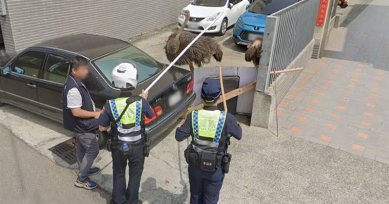 2隻鴕鳥從彰化跑到台中被員警攔下，有趣畫面全被Google街景車拍下。（圖／翻攝自Google map）