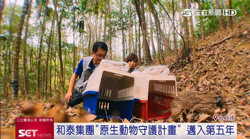 和泰集團「原生動物守護計畫」邁入第五年
