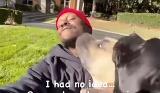 獒犬咬死鄰居小型犬　46歲男星驚傳被捕