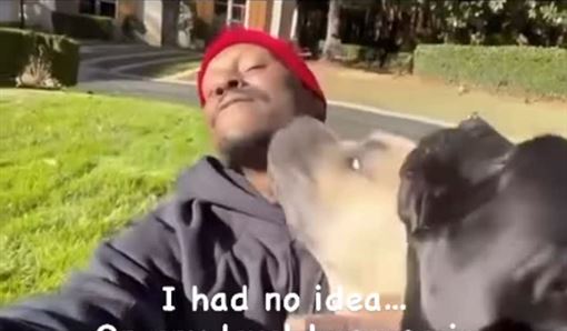 獒犬咬死鄰居小型犬　46歲男星驚傳被捕