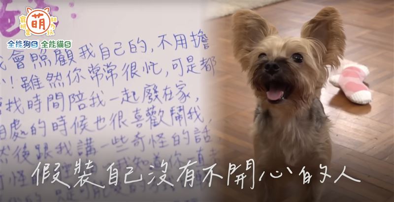 Sandy吳姍儒在節目中念出寵物溝通師幫Miki「翻譯」的信。（圖／翻攝自YT 萌寵明星粗乃玩 畫面）