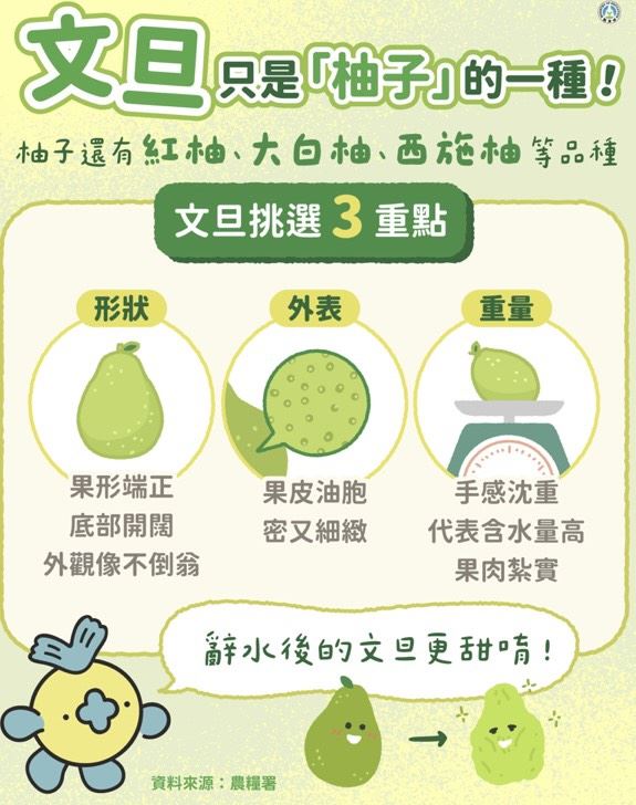 教育部分享文旦3大挑選秘訣。（圖／教育部官方Line）