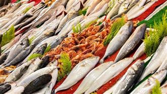 不是魚就降血脂！醫點名「這4種」才有效