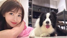 徐千京與5歲大的愛犬「荷葉」，專家指出荷葉是邊境牧羊犬，平均每天至少需要散步5次。（圖／翻攝自徐千京臉書）