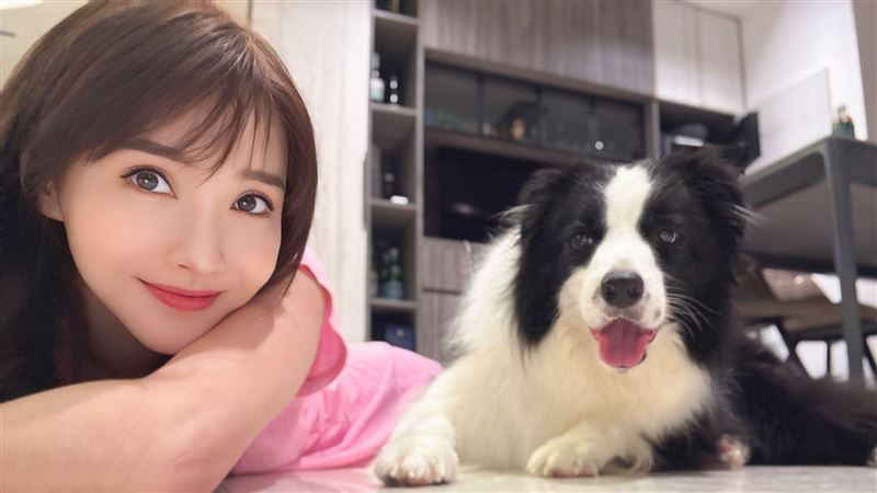 狗狗焦慮來自主人　女星過動體質感染邊牧