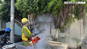 蜂螫,登革熱防治作業,蜂巢,蜂群,台中,大肚（圖／翻攝畫面）