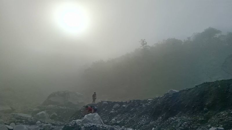 特遣隊挺進馬太鞍溪堰塞湖區踏勘，地表及植物樹葉上均覆蓋厚重粉塵、泥砂，呈現灰白荒蕪景象，現場更是煙塵瀰漫。（圖／中央社）