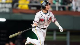 台鋼雄鷹葉保弟。（圖／台鋼雄鷹提供） 