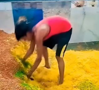 從拍下的影片還可見，零食廠員工雙腳踩在麵條中。（圖／翻攝自IG）