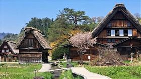 日本岐阜縣白川鄉合掌村傳出有西班牙遊客遭熊攻擊，官方緊急關閉展望台。（圖／翻攝自臉書／白川郷観光協会　Shirakawa-go Tourist Association）
