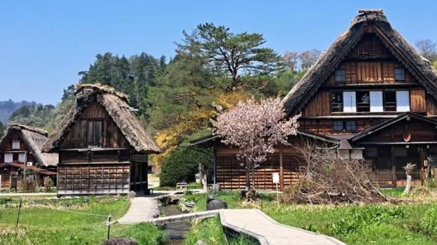 10年來首見！白川合掌村熊出沒遊客遭攻擊
