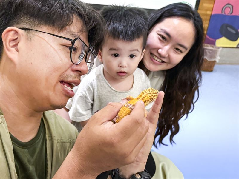 與動物面對面，觸摸刺蝟與豹紋守宮，零距離體驗生命教育。（圖／飯店旅宿業者提供）