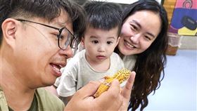 與動物面對面，觸摸刺蝟與豹紋守宮，零距離體驗生命教育。（圖／飯店旅宿業者提供）