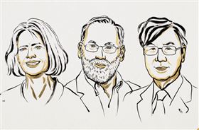 美日三學者找出免疫系統「保全衛士」！獲頒2025諾貝爾生醫獎。（圖／翻攝自諾貝爾獎官網）