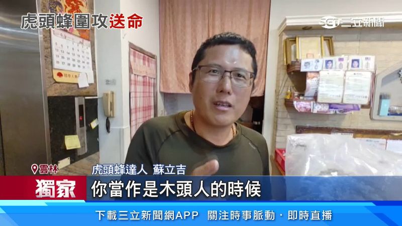 虎頭蜂達人說明