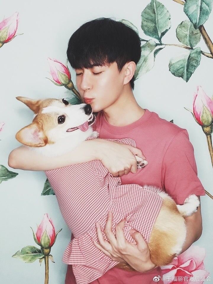 于朦朧的愛犬福麗遭爆出慘遭虐殺。（圖／翻攝自微博）
