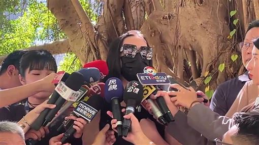 北捷「優雅小姐姐」現身　還原踹老婦始末