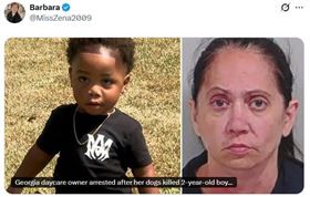 無照保母午睡釀禍　2歲童遭2羅威納犬咬死（圖／翻攝畫面）