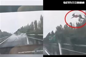 驚悚！SUV打滑翻覆　女遭拋飛車外畫面曝（圖／微博）