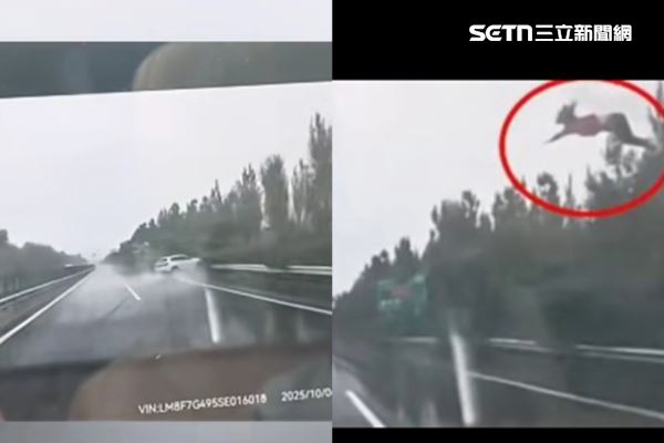 一輛白色SUV行駛途中疑似因車輛失控打滑，接連撞上中央分隔島及護欄後側翻，車上的女子遭拋飛車外，畫面相當驚悚！（圖／微博）