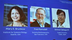 美國免疫學家藍斯德爾（中）為今年諾貝爾醫學獎得主之一。（圖／美聯社／達志影像）