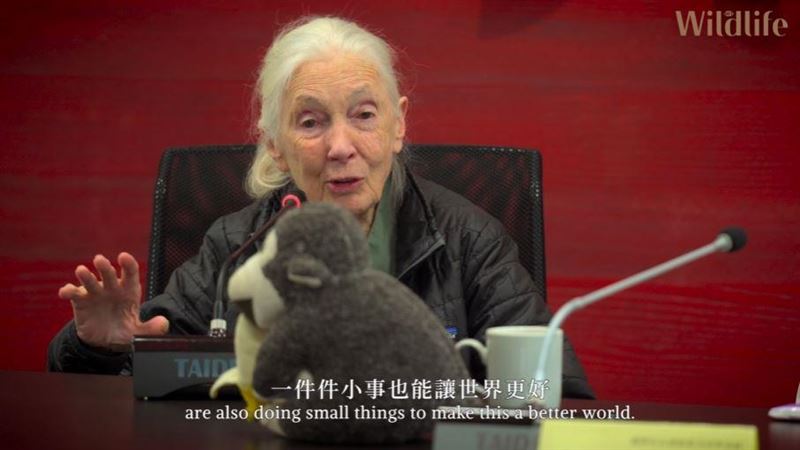 珍古德遺願曝光！想送習近平、川普到太空