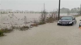 嘉義鄉道嘉22線遭豪雨灌爆，兩部車輛拋錨路中央，一名民眾撐傘苦等救援，畫面如災難電影重現。（圖／讀者提供）