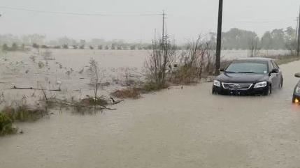 乘客要小黃硬開!泡水虧百萬…求償還吞敗