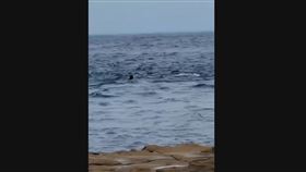 新北,瑞芳,鼻頭漁港公園,潛水,浪襲,消防。（圖／翻攝畫面）