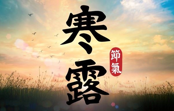 寒露（圖／CANVA製作）