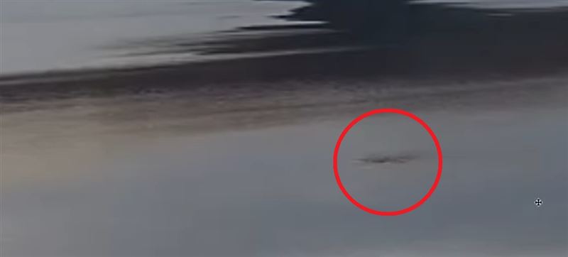 尼斯湖水怪不只一隻?獵人在監視器發現黑影 尼斯湖水面出現黑影、帶動著水波紋,水怪獵人認為它「可能是尼斯湖水怪家族的一員」。(圖/翻攝自youtube@Eoin O Faodhagain)