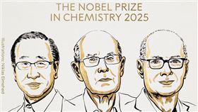 諾貝爾化學獎揭曉。（圖／翻攝自X@NobelPrize）
