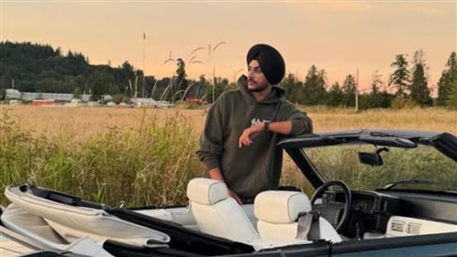 為閃避動物自撞　35歲男星器官衰竭死亡