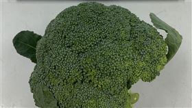 又有毒蔬果被運來台灣！5款農藥超標「抗癌蔬菜也中鏢」（圖／食藥署提供）