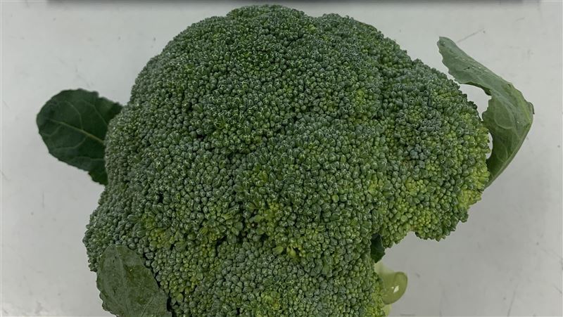 又有毒蔬果入台　9公噸抗癌蔬菜農藥超標