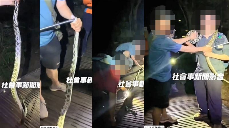 山友不顧「黑眉錦蛇」是保育類動物，仍滋擾、玩弄甚至拿起鐵棒撬開嘴，警方將通知5人到案說明。（圖／翻攝《社會事新聞影音》）