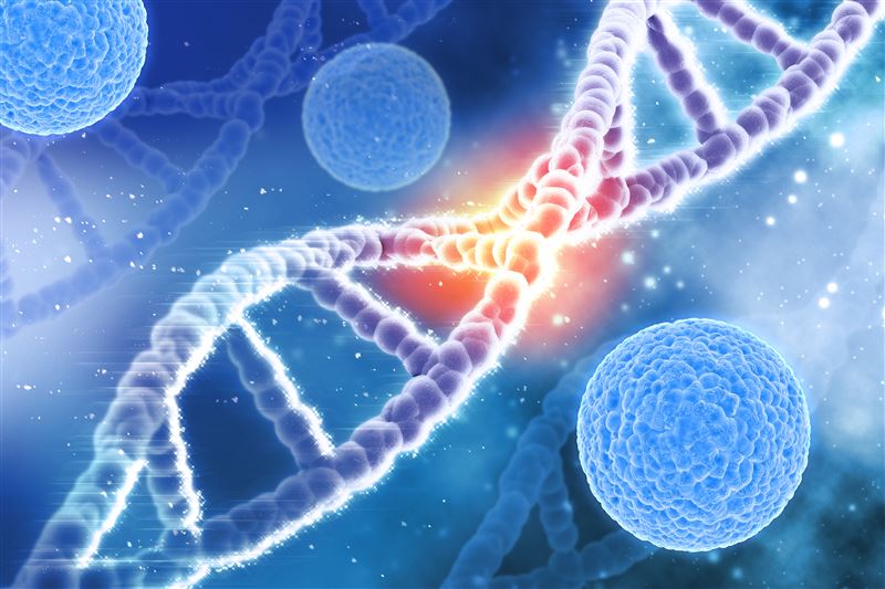 下一代抗老明星登場!科學家研究 「白皮杉醇」如何喚醒粒線體