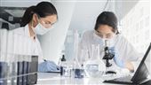 科學家研究 「白皮杉醇」如何喚醒粒線體