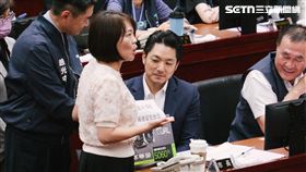 民進黨團集體送兩萬一紙板、簡舒培送輝達顯卡、民眾黨送館長「大聲漢」（圖／記者楊士誼攝影）