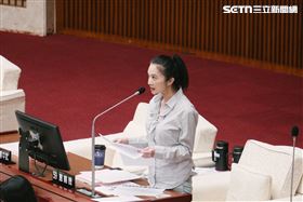 應曉薇喊話蔣萬安「便當會千萬別找我」。（圖／記者楊士誼攝影）