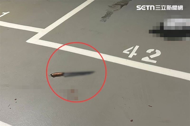 北市萬男在南港CITYLINK停車場被砍，警方循線逮捕2名潘姓男子。（圖／翻攝畫面）