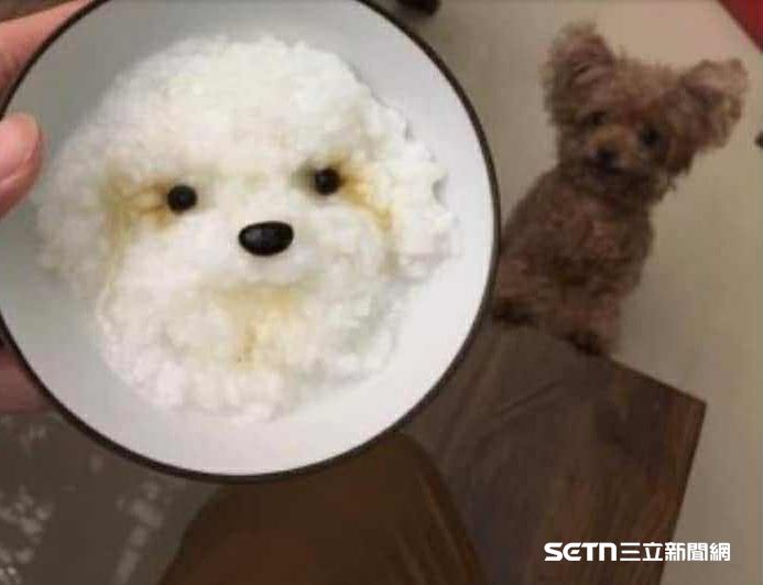 就連一碗看似平凡無奇的白粥，在邱俊彥老師的巧手下，也能變成一隻模樣逼真的小狗，而且輪廓、神情都與他家中的寵物犬極為相似，讓人看了不禁驚呼：「這真的只是白粥嗎？」（圖／受訪者提供）