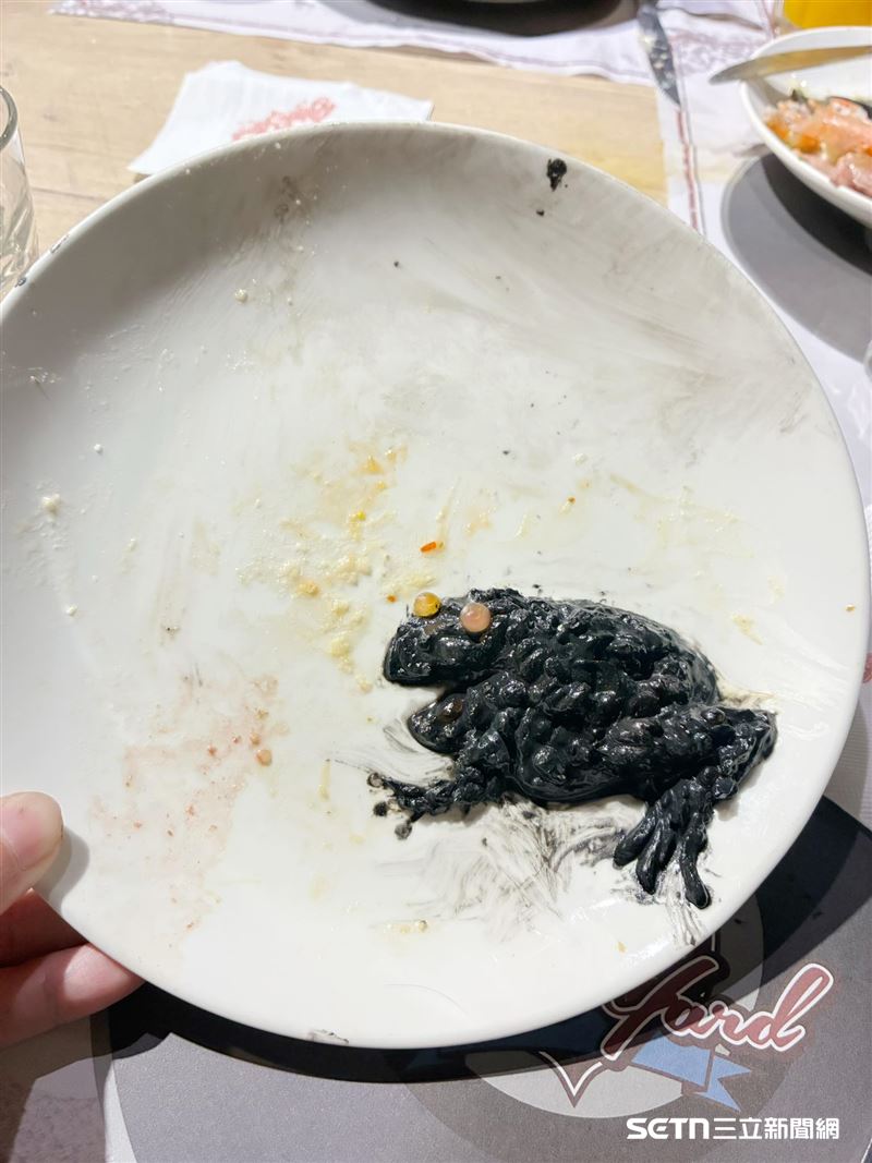 邱俊彥老師巧妙地利用鮭魚卵和剩下一口的墨魚燉飯，製作出一隻栩栩如生的蛤蟆。雖然是食物，但卻細緻到讓人覺得這件作品充滿生命力，不禁佩服邱老師將日常食材化為藝術的獨特魅力與創意巧思。（圖／受訪者授權提供）