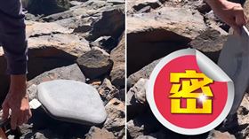 傳挖到「保險套化石」　真相曝光眾人驚：恐龍竟也懂？（圖／翻攝自臉書）